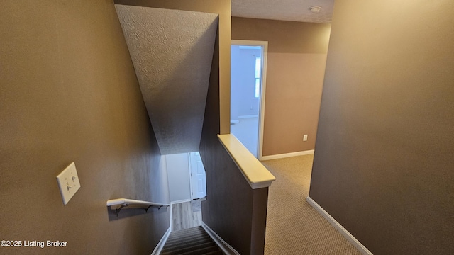 stairway with carpet floors and baseboards