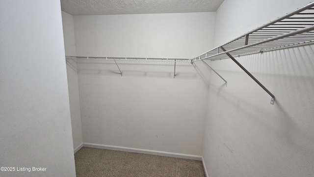 spacious closet with carpet floors