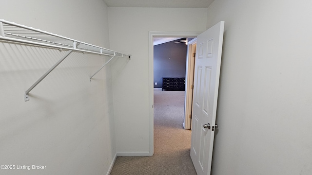 spacious closet with carpet