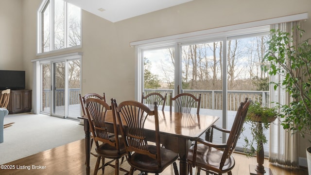 dining area with light colored carpet and plenty of natural light