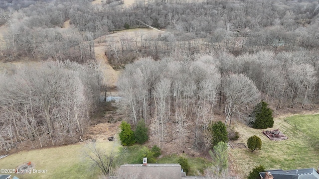 bird's eye view with a view of trees