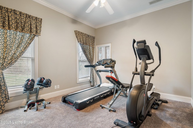 exercise room with baseboards, carpet, a ceiling fan, and crown molding