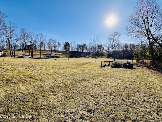 view of community with a yard