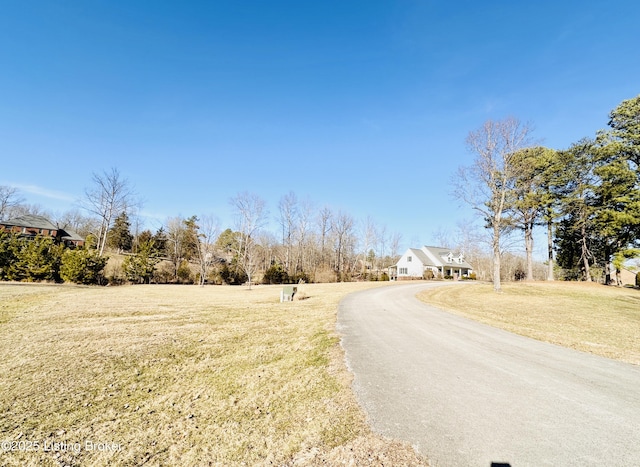 view of street with aphalt driveway