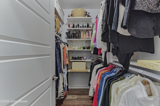 spacious closet with dark wood-style flooring