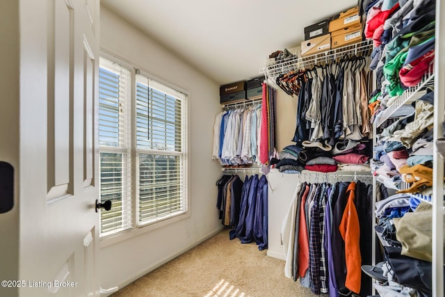 spacious closet featuring carpet