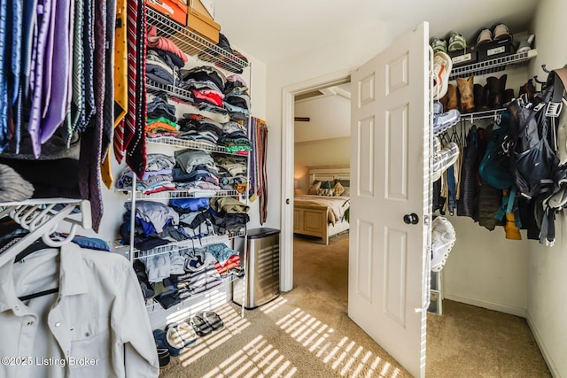 spacious closet featuring carpet floors