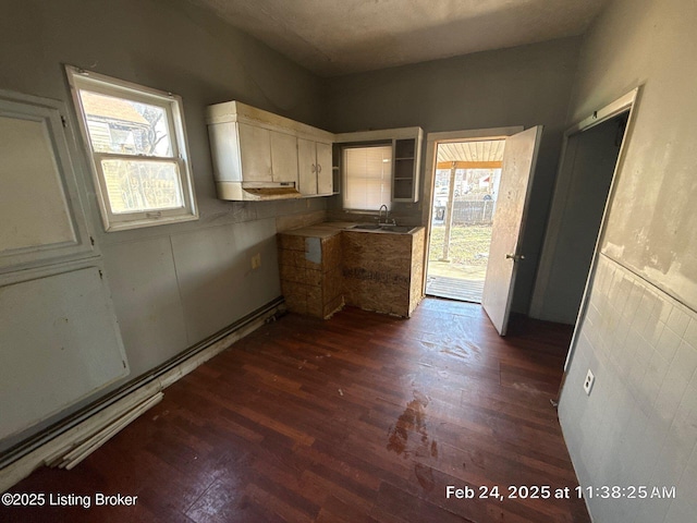 kitchen with white cabinetry, dark wood-type flooring, and a sink