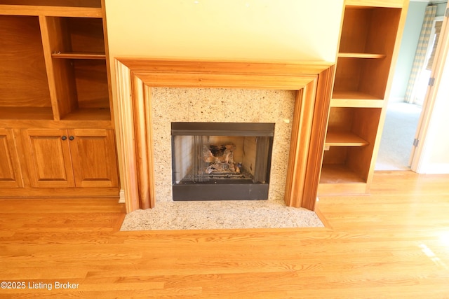 interior details featuring a fireplace and wood finished floors