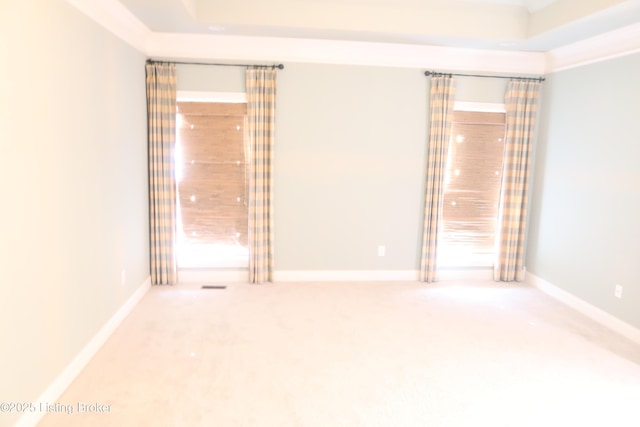 unfurnished room featuring carpet, a raised ceiling, and baseboards