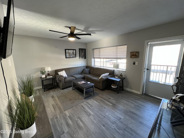 living area with a textured ceiling, wood finished floors, a wealth of natural light, and baseboards