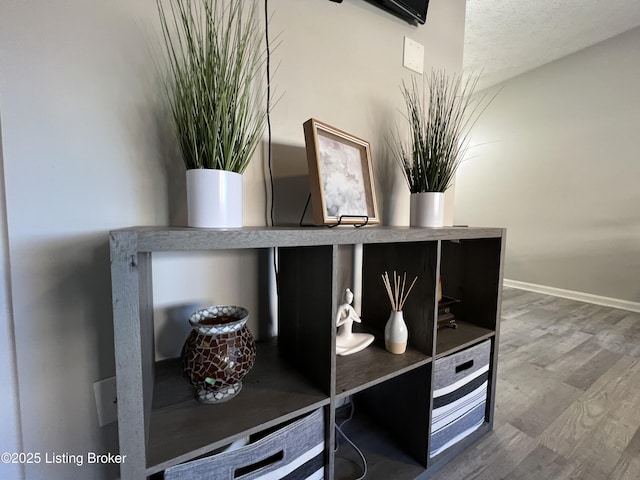 interior details with baseboards and wood finished floors