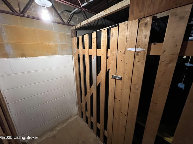 unfinished basement with concrete block wall