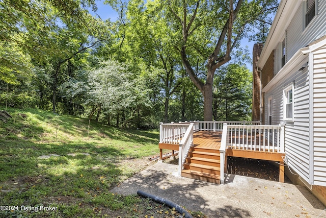 view of yard featuring a wooden deck