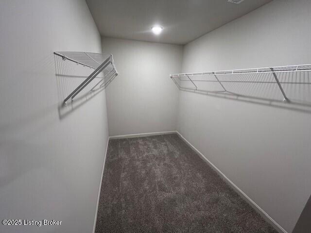 spacious closet featuring carpet flooring