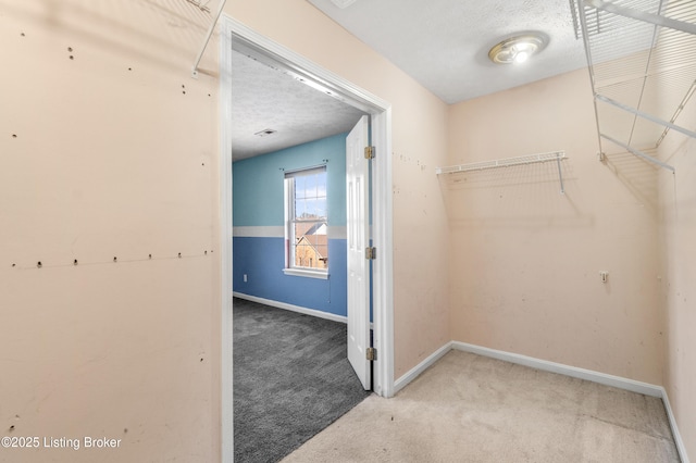 walk in closet featuring carpet flooring