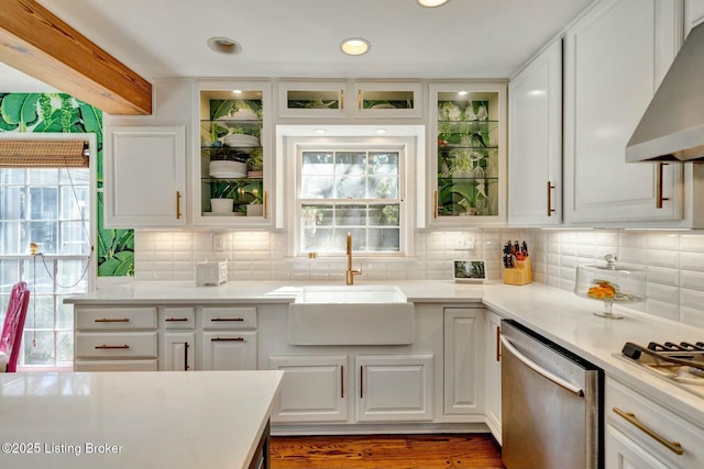 kitchen with wall chimney exhaust hood, stainless steel appliances, a sink, and light countertops