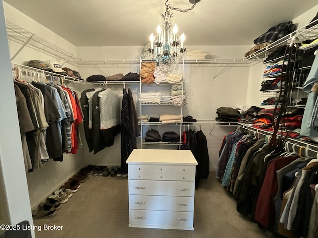 walk in closet with a chandelier and carpet flooring