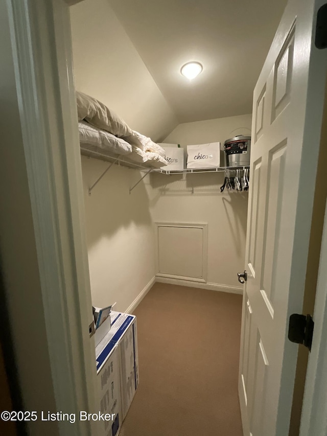 walk in closet with carpet and vaulted ceiling