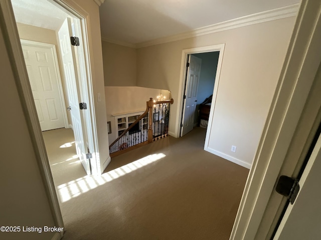 interior space with ornamental molding, carpet, and baseboards