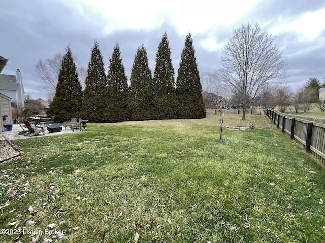 view of yard with a patio area and a fenced backyard