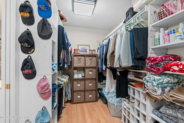 walk in closet featuring wood finished floors