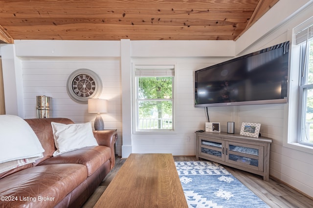 living room with wooden ceiling, plenty of natural light, and wood finished floors