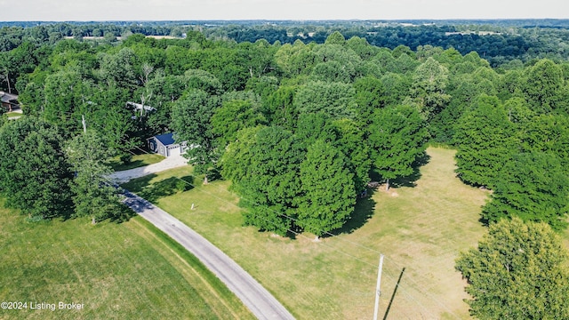 bird's eye view with a forest view