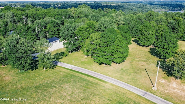 bird's eye view featuring a view of trees