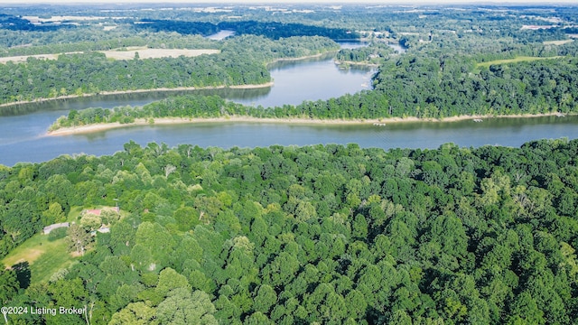 aerial view with a water view and a view of trees