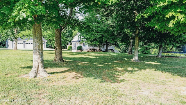 view of yard with a trampoline