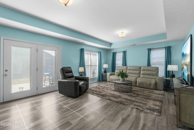 living room featuring wood finished floors and a raised ceiling