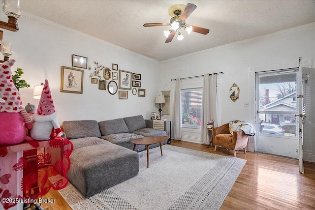 living area featuring ornamental molding, light wood finished floors, a textured ceiling, and a healthy amount of sunlight