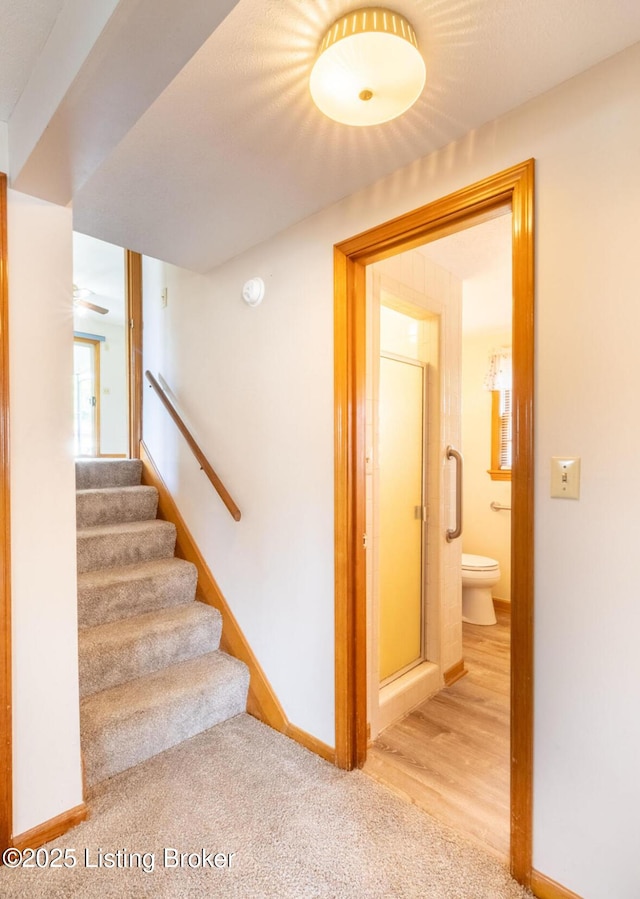 stairs featuring carpet floors and baseboards