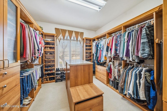 spacious closet featuring carpet