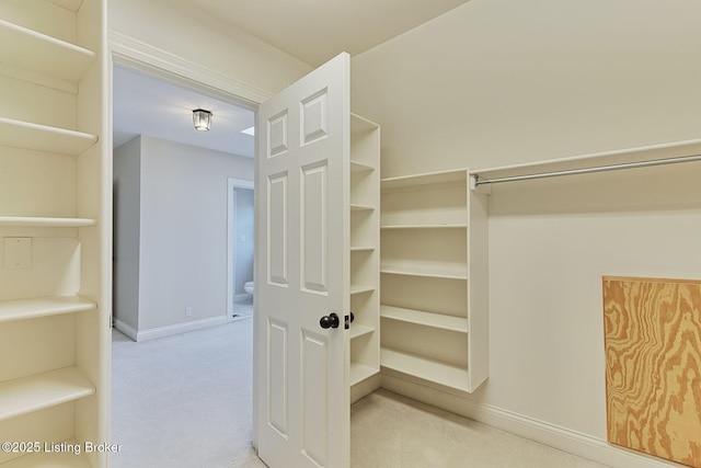 walk in closet featuring carpet floors