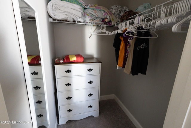 spacious closet featuring carpet