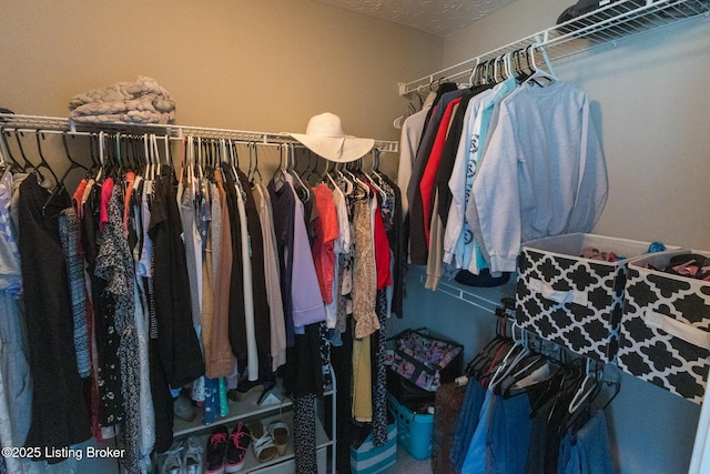 view of spacious closet