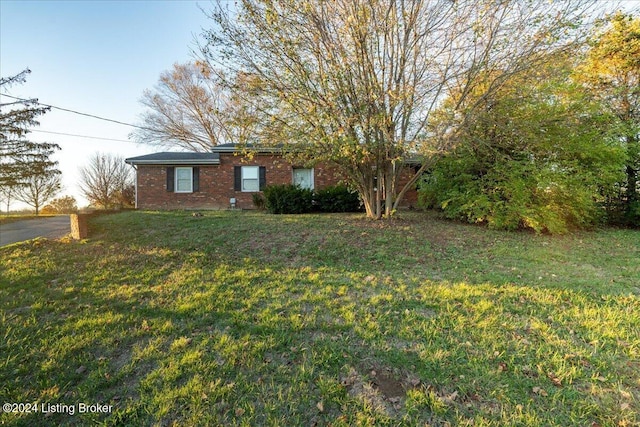 view of front of house featuring brick siding and a front lawn