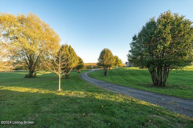 view of home's community featuring a yard