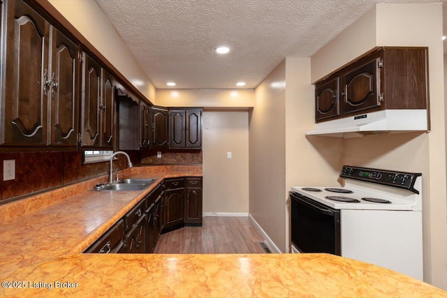 kitchen featuring white electric stove, dark brown cabinets, light wood-type flooring, under cabinet range hood, and a sink