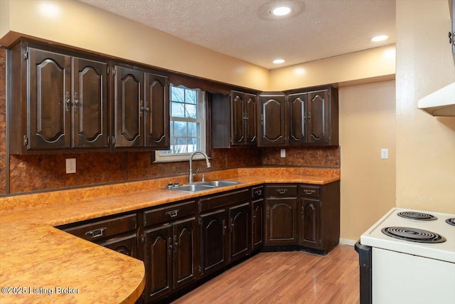 kitchen with white electric range oven, light countertops, light wood-style floors, a sink, and dark brown cabinets