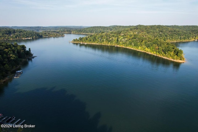 property view of water featuring a view of trees