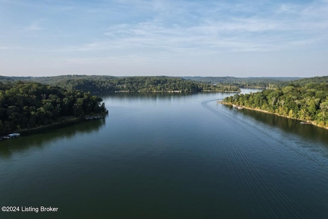 water view featuring a forest view