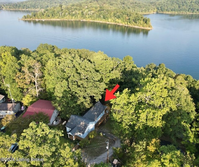 bird's eye view featuring a water view and a wooded view