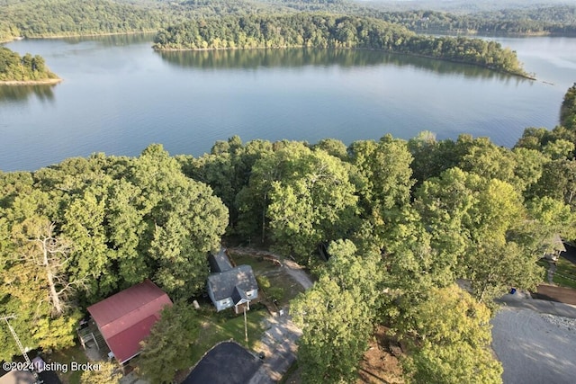 drone / aerial view with a water view and a forest view