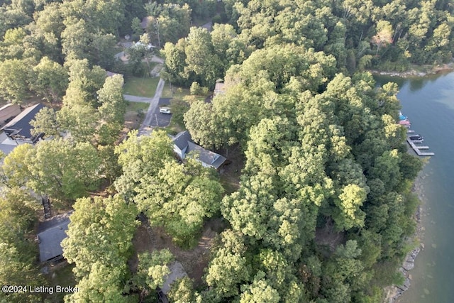 bird's eye view featuring a water view and a wooded view