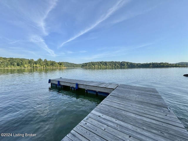 view of dock with a water view and a view of trees