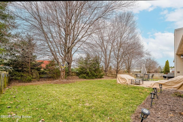 view of yard with a patio and a fenced backyard