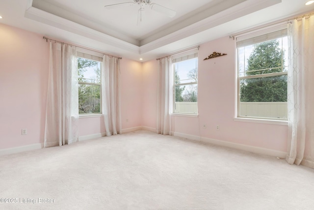 unfurnished room with plenty of natural light and a raised ceiling